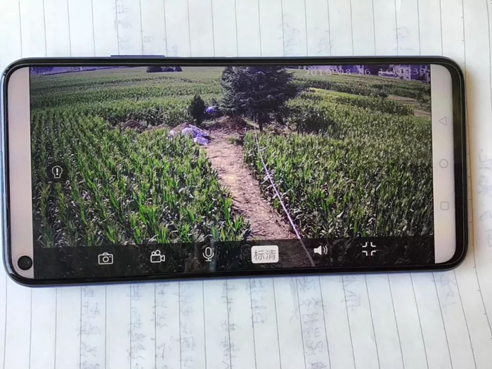 任强通过手机，查看母亲坟地的监控画面，防止遗体被盗。新京报记者魏芙蓉 摄