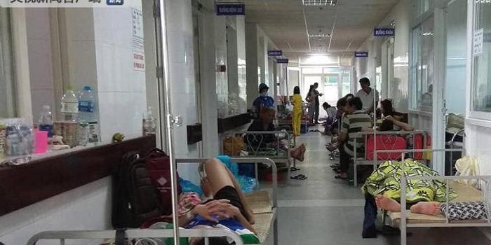 越南岘港今年已发现3600例登革热疫情