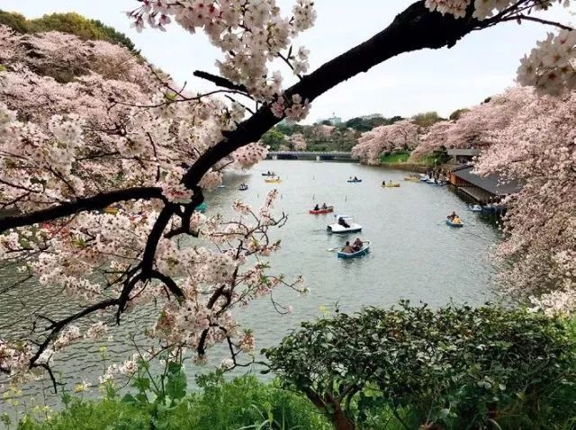  ▲宜居成为大城市群的重要内涵。（胡俊凯 摄）&nbsp;