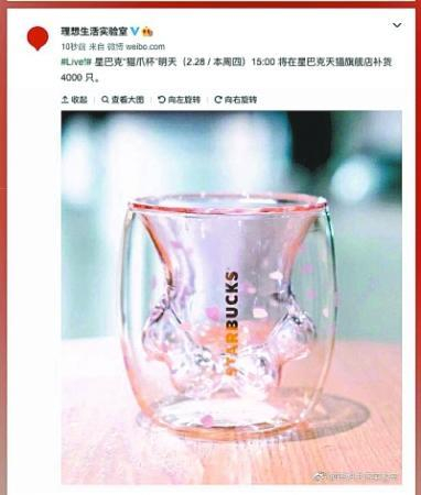 星巴克猫爪杯