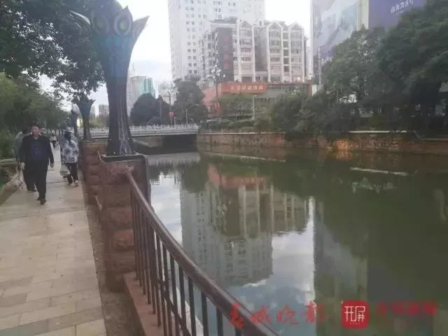 酒吧外的盘龙江