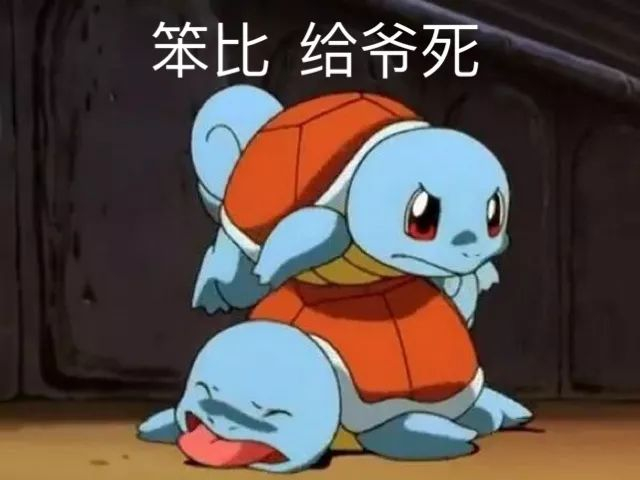 揭秘！杰尼龟成为天选憨憨的幕后推手竟然是···