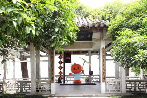 6月6日，淘公仔亮相西湖边，为淘宝造物节倒数计时100天