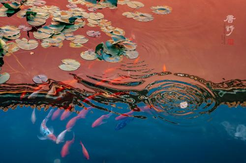  《画境》。2019年9月，拍摄于故宫御花园。苏唐诗 摄