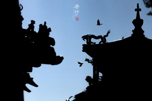 《对语》。2018年10月，拍摄于故宫翊坤宫。苏唐诗 摄