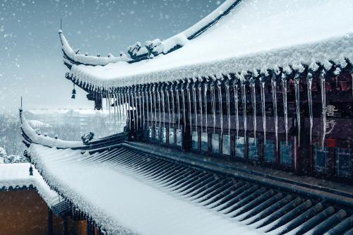 《雪之琴》。2018年1月-江苏镇江金山寺。苏唐诗 摄