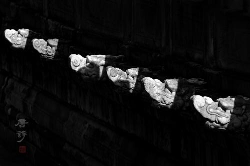 《水龙吟》。2014年9月，拍摄于北京太庙。苏唐诗 摄