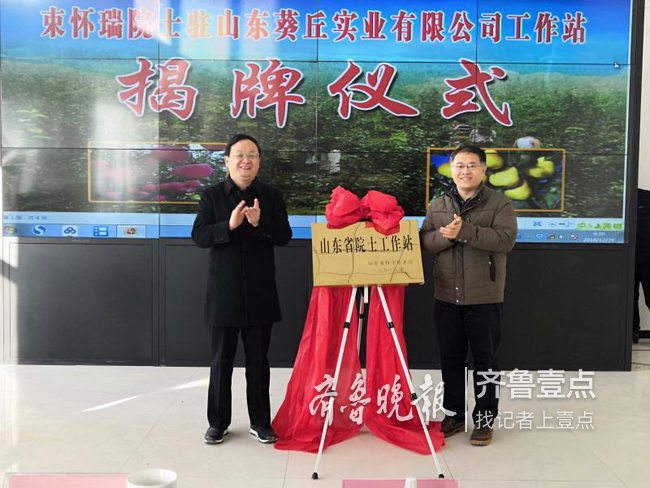 鄄城县seo优化关键词