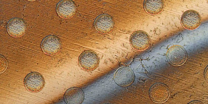 麻省理工学院研发可大规模生产的单细胞大小机