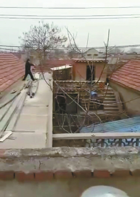 民警射击狼青犬。 视频截图