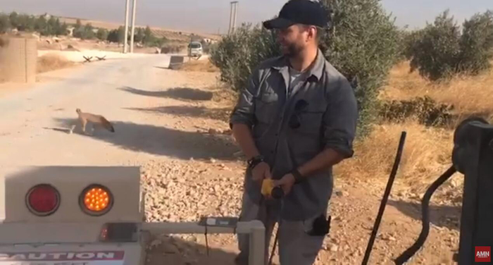  曾经嚣张跋扈的美军所建立的基地已经人去楼空，只剩下找食的野狗还在里面徘徊，像极了眼下的形势