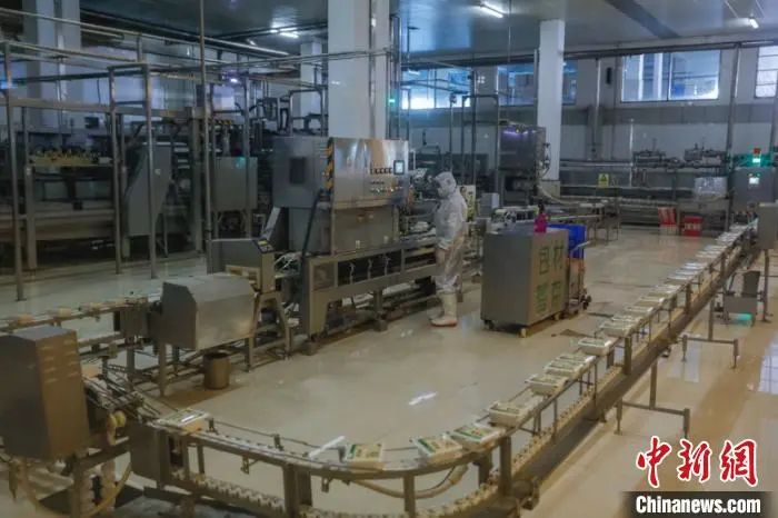 图为北大荒集团员工在豆制品生产线上工作。　吕品 摄