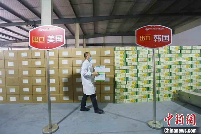 近年来，庆阳农特产品争相出口海外。　高展 摄