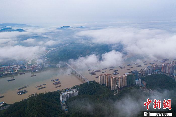 西江黄金水道、云雾及城市，构成一幅诗意画卷。　何华文 摄