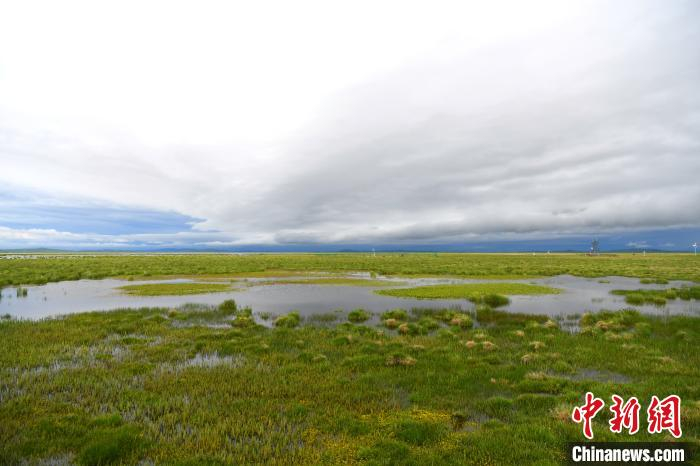 图为四川若尔盖花湖景色。　安源 摄