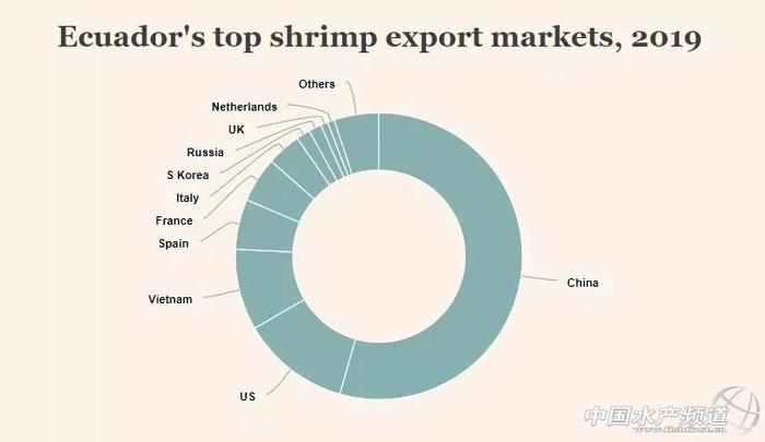 超40万吨厄瓜多尔白虾卖往中国，价格跌至五年最低