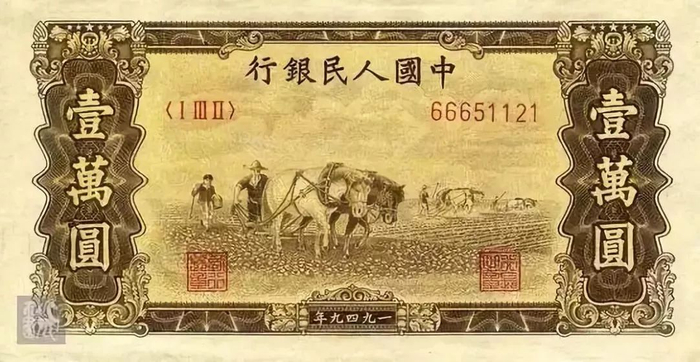 1-53B牧牛羊
