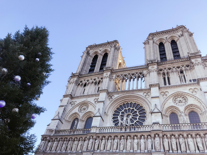  失火前的巴黎圣母院。新京报记者 王宇 摄