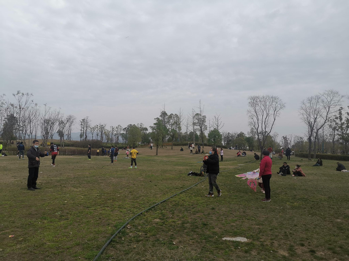 解封后，人们到公园放风。 澎湃新闻记者 朱莹&nbsp; 图