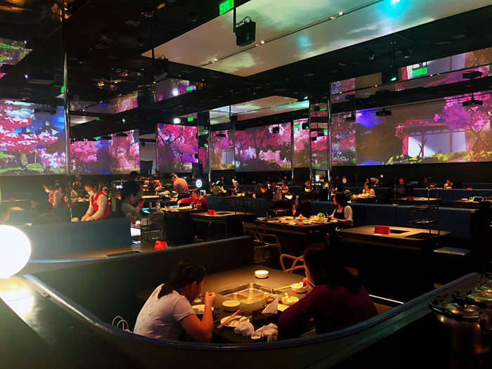 新京报记者 王萍 摄