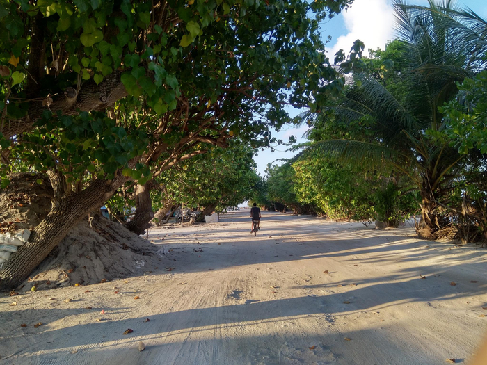 居民岛上其实很荒凉。 Tracy 图