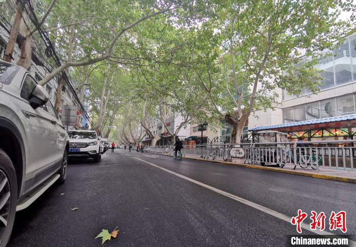 　　秋日的郑州街头，梧桐树叶仍旧绿色可人，有市民表示，如果为了减少频繁清扫的麻烦用水枪打掉树叶，实在不可取。　韩章云　摄