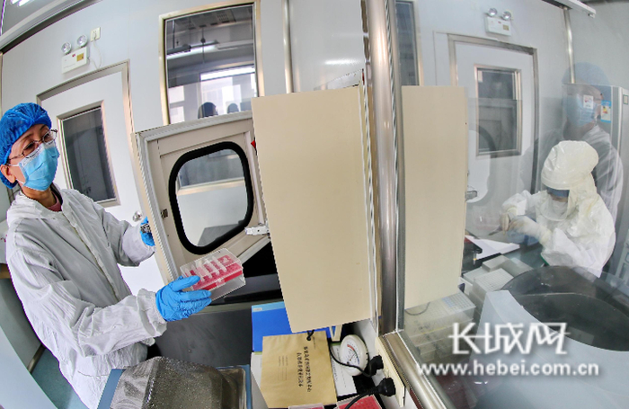 秦皇岛市疾控中心检验科检验人员准备传递试剂。曹建雄 摄