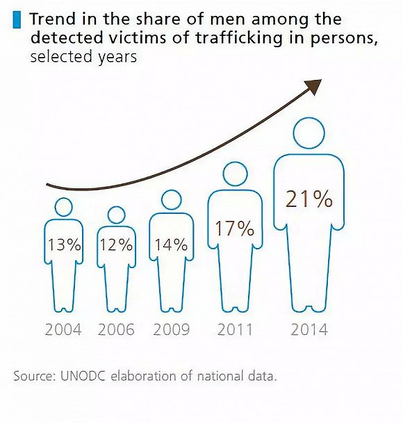 （成年男性占比）