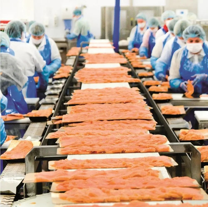 ▲三文鱼加工流水线。图据Salmon Business