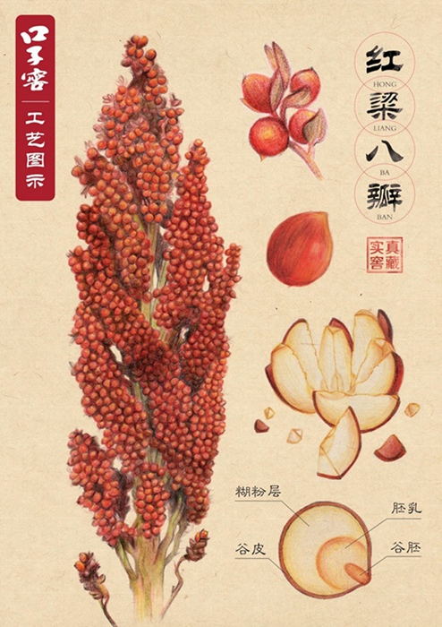 口子窖工艺图示