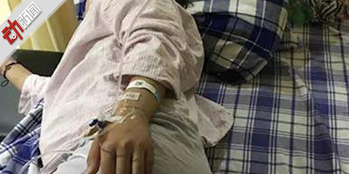 因一条不牵绳的狗 孕妇遭网红殴打致先兆早产