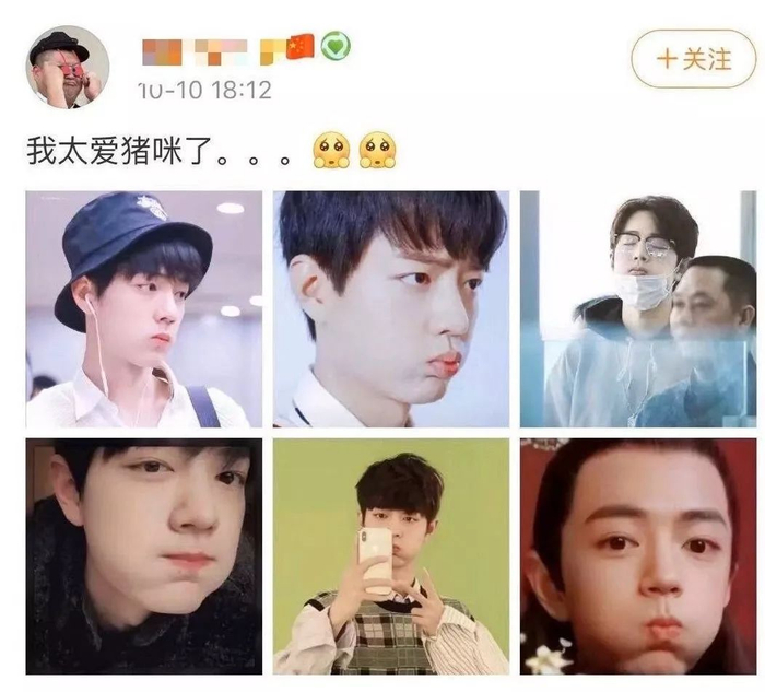 把顶流爱豆卷入battle的“猪咪”到底是什么？