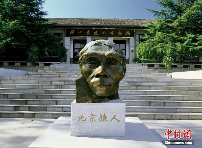 资料图:北京房山区,周口店遗址博物馆前的北京猿人铜像。 谭明 摄 图片来源:CTPphoto