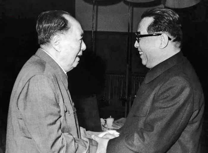 1976年，毛泽东主席会见金日成。
