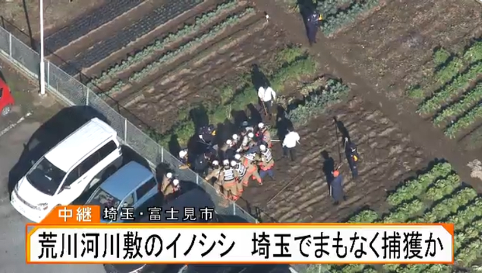 媒体从高空拍摄到的捕获瞬间（富士电视台）