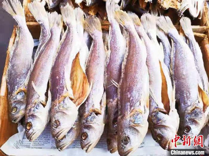 开肚淡晒的三牙鱼干 李晓春 摄