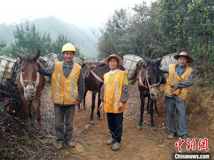     罗金亮和他的父母组成的家庭式马帮。　韦森　摄