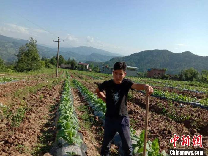 图为陈伟在田间务农。受访者供图