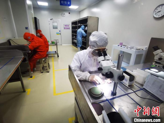 技术人员正在对芯片检验 张俊 摄