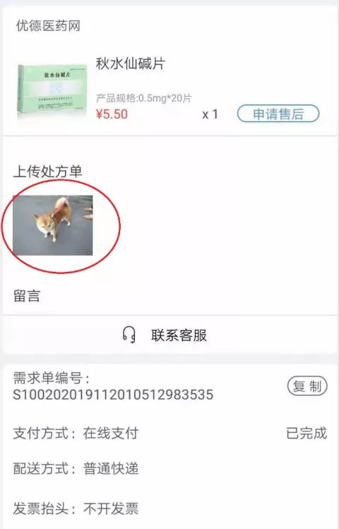 宠物照片充当处方通过审核 　　优德医药网截图