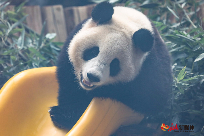 资料图。 长城新媒体记者 刘潇 摄