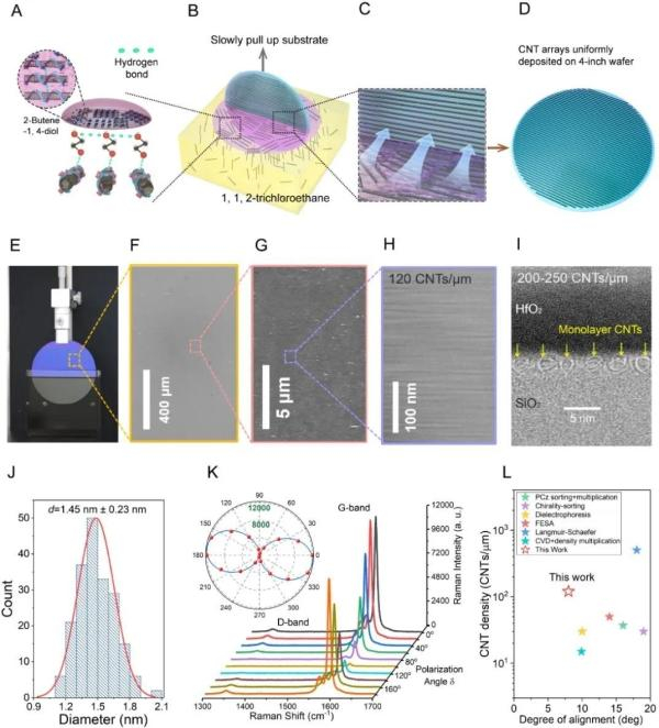 高密度、高纯度半导体碳管阵列的制备和表征