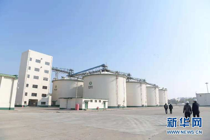 世界粮食日|“塞北粮仓”的智慧仓储“黑科技”
