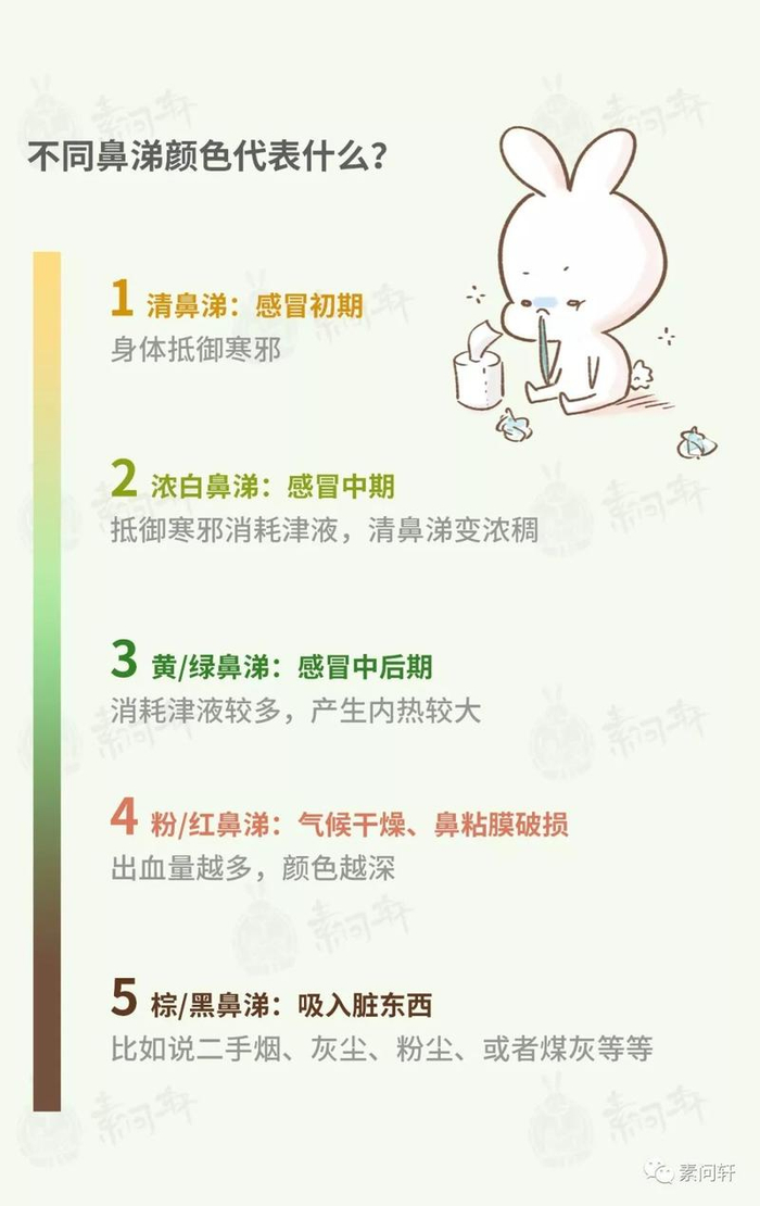 清鼻涕、白鼻涕、黄鼻涕、黑鼻涕,不同颜色的鼻涕说明什么?