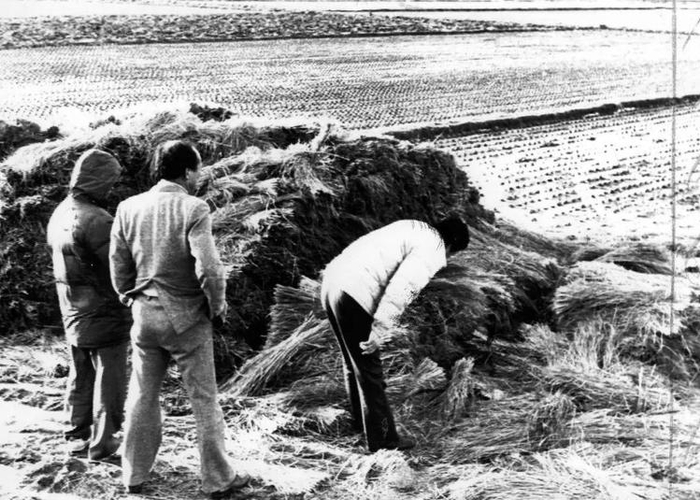 　1987年，韩国警方在华城黄溪里的案发现场查看。 视觉中国 图