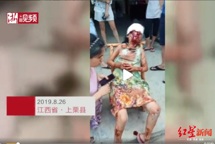视频截图源自@浙视频