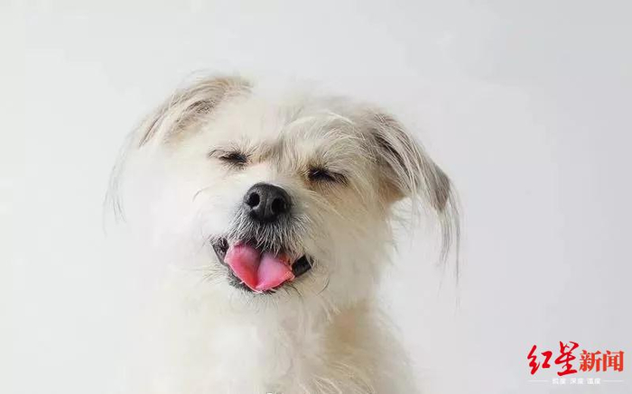 电影《心花路放》里的“果汁”