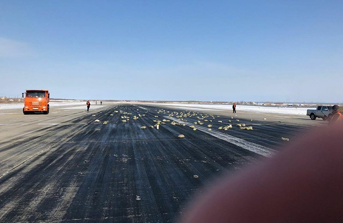 俄罗斯雅库茨克机场一架飞机上掉下了黄金。（图片来源：俄罗斯卫星通讯社）