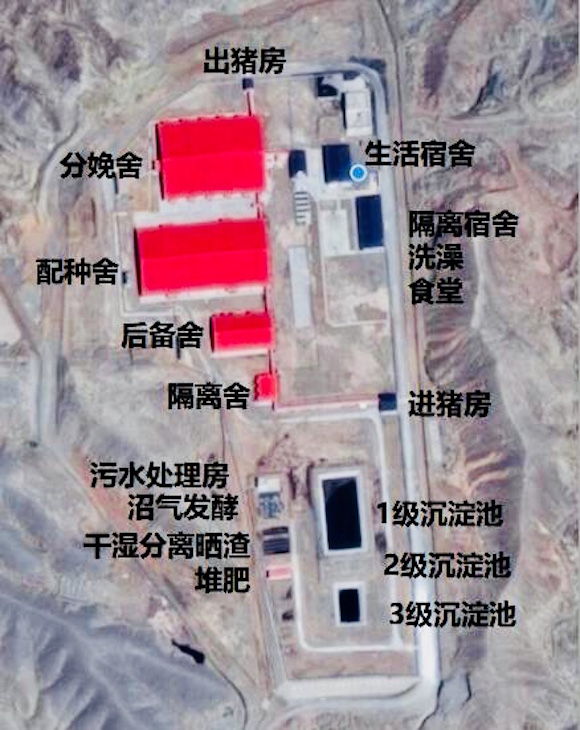 一个标准化猪舍的构成。但此图这个是南方的猪舍图，没有取暖设施。