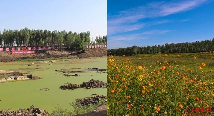 图为唐河污水库修复前后。（左图为中交一公局供图，右图王京卓摄）